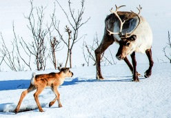 Kinderfilme im Kinoptikum
