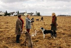 Filmgespräche im Kinoptikum