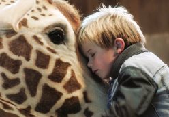 Kinderfilme im Kinoptikum