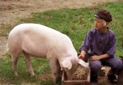 Kinderfilme im Kinoptikum