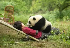 Kinderfilme im Kinoptikum